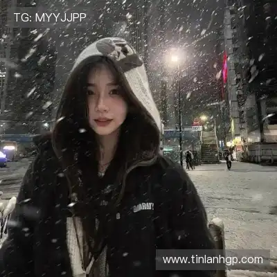 蓬盈晓
